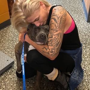 Meet your Posher, Robin